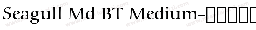 Seagull Md BT Medium字体转换
